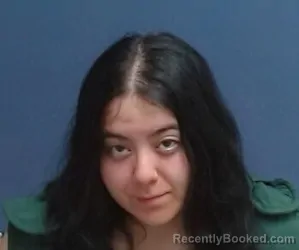 Mugshot of Daylene Rae Martinez booked in Teller County, Colorado on June 27, 2026