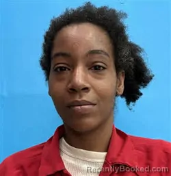 Mugshot of Whitney Darlene Hairston booked in Desoto County, Florida on March 18, 2026