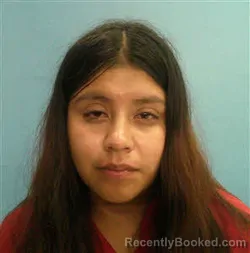 Mugshot of Selene Gonzalez-Lopez booked in Desoto County, Florida on June 13, 2026