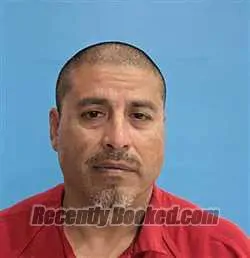 Booking photo from Desoto County, Florida