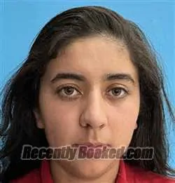 Booking photo from Desoto County, Florida