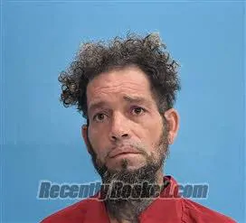 Booking photo from Desoto County, Florida