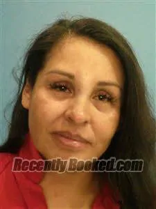 Booking photo from Desoto County, Florida