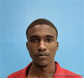 Booking photo from Desoto County, Florida