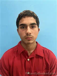 Booking photo from Desoto County, Florida