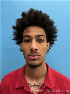 Mugshot of Tristen Delanie Bryan