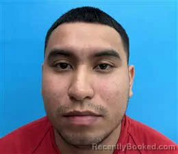 Mugshot of Jorge Fernandez-Silva booked in Desoto County, Florida on March 20, 2026