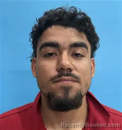 Mugshot of Joan Gamez booked in Desoto County, Florida on March 21, 2026