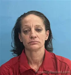 Mugshot of Lisa Lynn Meeks booked in Desoto County, Florida on March 21, 2026