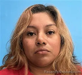 Mugshot of Milca Coronel-Rojas booked in Desoto County, Florida on March 26, 2026