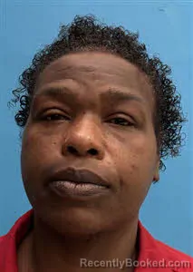 Mugshot of Lanora Denise Lightner booked in Desoto County, Florida on March 27, 2026