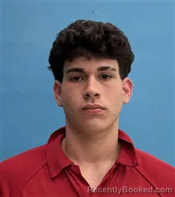 Mugshot of Edilberto Miguel Pena-Gonzalez booked in Desoto County, Florida on April 10, 2026