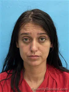 Mugshot of Diane Elizabeth Corry booked in Desoto County, Florida on May 8, 2026