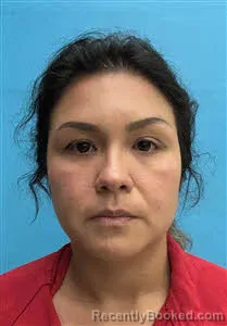 Mugshot of Ana Laura Reyes booked in Desoto County, Florida on May 15, 2026