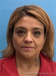 Mugshot of Marisol Pulido booked in Desoto County, Florida on May 18, 2026