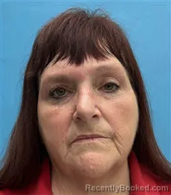 Mugshot of Jennifer Sue Phillips booked in Desoto County, Florida on June 23, 2026