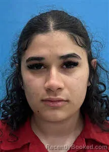 Mugshot of Joscelyn Marie Antunez booked in Desoto County, Florida on June 24, 2026