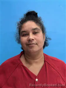Mugshot of Erica Latrell Redding booked in Desoto County, Florida on July 4, 2026