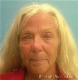 Mugshot of Harriett Anne Coleman booked in Desoto County, Florida on July 12, 2026