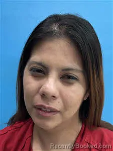 Mugshot of Chelsea Cruz booked in Desoto County, Florida on August 16, 2026