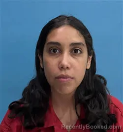 Mugshot of Sharon Janeth Hernandez Irias booked in Desoto County, Florida on August 27, 2026