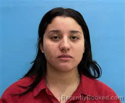 Mugshot of Nelmarie Santiago Gerena booked in Desoto County, Florida on October 12, 2026