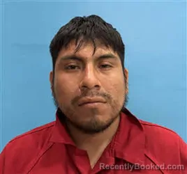 Mugshot of Alex Marcelo Diaz-Teratol booked in Desoto County, Florida on October 12, 2026