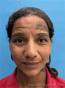 Mugshot of Ashaunte Moniqua Davis booked in Desoto County, Florida on October 19, 2026