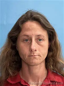 Booking photo from Desoto County, Florida