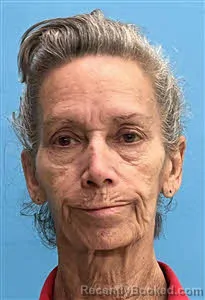 Booking photo from Desoto County, Florida