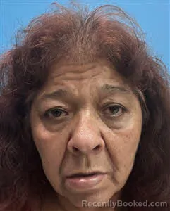 Mugshot of Delilah Fitchett booked in Desoto County, Florida on October 16, 2026