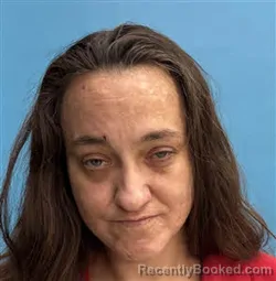 Mugshot of Evelyn Ruthann Pifer booked in Desoto County, Florida on April 14, 2026