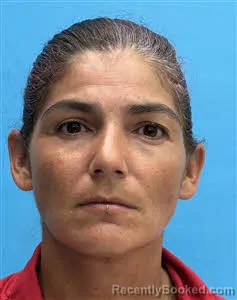 Mugshot of Yolanda Vasquez Ramirez booked in Desoto County, Florida on August 9, 2026