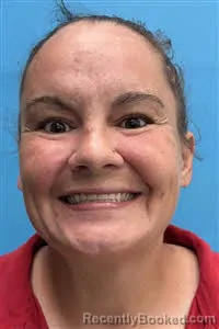 Mugshot of Jessica Gail Rettel booked in Desoto County, Florida on September 2, 2026