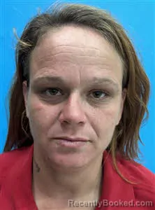 Mugshot of Christina Marie Pelham booked in Desoto County, Florida on August 24, 2026