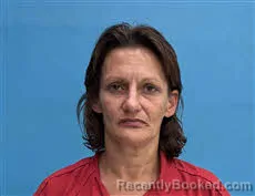 Mugshot of Julie Ann Perry booked in Desoto County, Florida on May 5, 2026