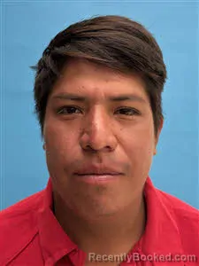Mugshot of Miguel Silva Alonso booked in Desoto County, Florida on June 7, 2026