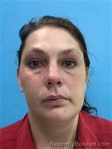 Mugshot of Sarah Nicole Hyler booked in Desoto County, Florida on August 21, 2026
