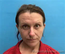 Mugshot of Amanda Lee Brewer booked in Desoto County, Florida on July 11, 2026