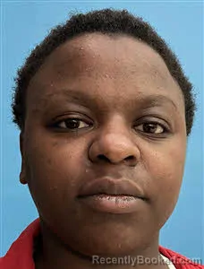 Booking photo from Desoto County, Florida