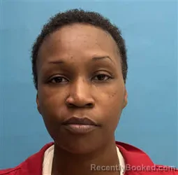 Mugshot of Sasha Demaris Higgins booked in Desoto County, Florida on April 14, 2026