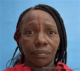 Mugshot of Arlene Carol Peterson booked in Desoto County, Florida on April 3, 2026