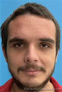 Booking photo from Desoto County, Florida