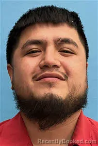 Booking photo from Desoto County, Florida