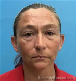 Mugshot of Tiffany Ann Kinville booked in Desoto County, Florida on June 12, 2026