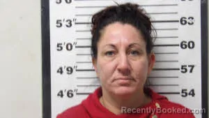 Mugshot of JAMIE LYNN BISESI booked in Carteret County, North Carolina on March 24, 2026