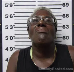 Mugshot of Janet Vann Brewington booked in Carteret County, North Carolina on September 11, 2026