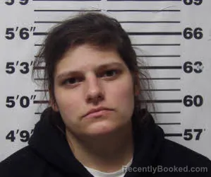 Mugshot of SHELBY LYNN BOYD