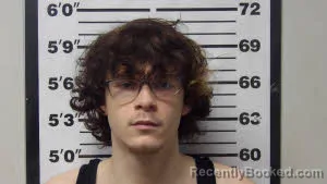 Mugshot of TIMOTHY LEE BROCK
