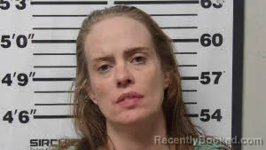 Mugshot of ELIZABETH DAWN COCKE